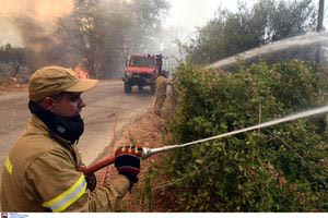 Φωτιές στην Ελλάδα: Πόσα πληρώνει ετησίως η χώρα για τις πυρκαγιές