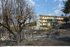 Αρχηγός Πυροσβεστικού Σώματος: «Σε κατάσταση συναγερμού όλοι οι φορείς – 152 πυρκαγιές σε δύο ημέρες»