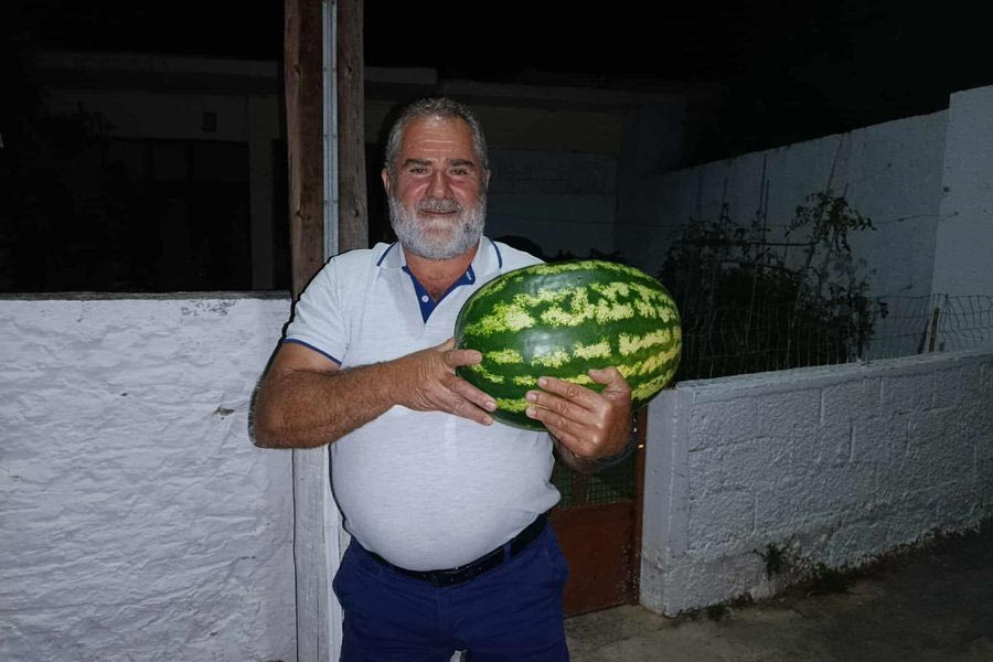 Ηράκλειο: Το καρπούζι που έγινε 18 κιλά χωρίς σταγόνα νερό! – Τι λέει στην “Π” ο παραγωγός του