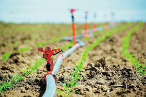 Παράταση για την υποβολή προτάσεων για έργα ταμίευσης και αρδευτικών δικτύων