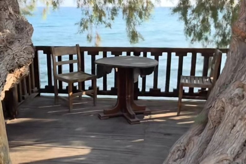 Άρβη: Το παραμυθένιο δενδρόσπιτο πάνω στο κύμα!