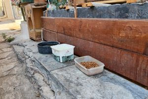 Ηράκλειο: Μικρές κατασκευές, μεγάλες πράξεις στοργής (φωτογραφίες)