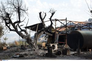 Σε κατάσταση έκτακτης ανάγκης κηρύχθηκε ο Δήμος Δυτικής Αχαΐας