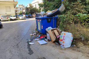 Τα ξεραμένα τα ζουμιά…