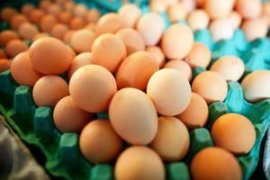 Αυγά με τοξικά χημικά στην Ελλάδα – Τι βρήκαν οι επιστήμονες