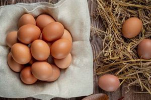 Θωμαΐδης για τις απαγορευμένες ουσίες που εντοπίστηκαν σε αυγά: Υπάρχουν παντού, αν δώσουμε αίμα είναι σχεδόν σίγουρο ότι θα τις εντοπίσουμε!