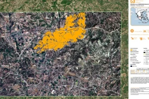 Κάηκαν σχεδόν 8.000 στρέμματα από τη φωτιά στην Ηλεία