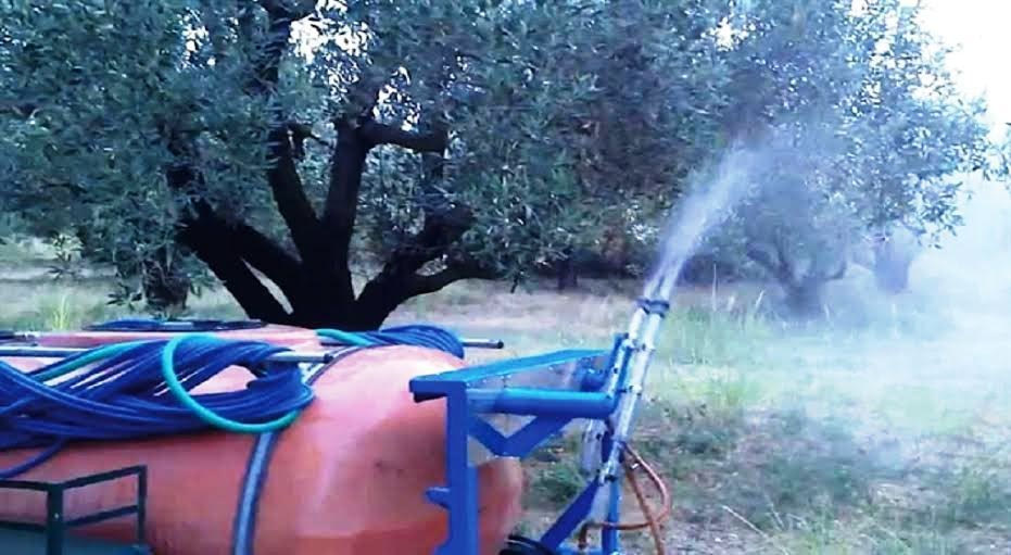 Δύσκολη η χρονιά για τους ελαιώνες του Ηρακλείου – Καθημερινή η μάχη με το δάκο