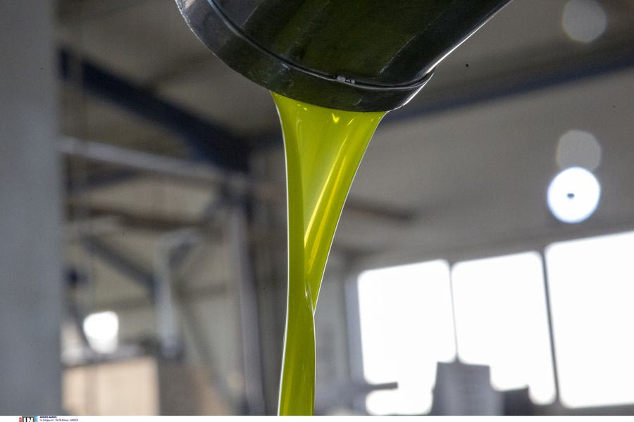 Ελαιόλαδο: Η Ελλάδα χάνει 300 εκατ. ευρώ ετησίως από την απουσία brand name