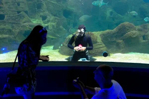 Η Ελένη είπε “ναι”… δίπλα στα ψάρια – Ονειρική πρόταση γάμου στο Ενυδρείο Κρήτης