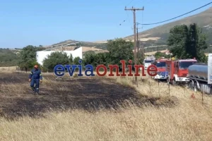 Εύβοια: Ερευνάται η συμμετοχή 6 ανήλικων παιδιών σε πυρκαγιές