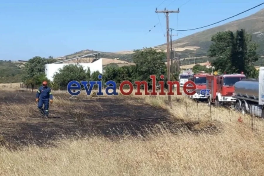 Εύβοια: Ερευνάται η συμμετοχή 6 ανήλικων παιδιών σε πυρκαγιές