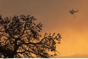 Ισχυρός πυρομετεωρολογικός κίνδυνος τις επόμενες δύο μέρες