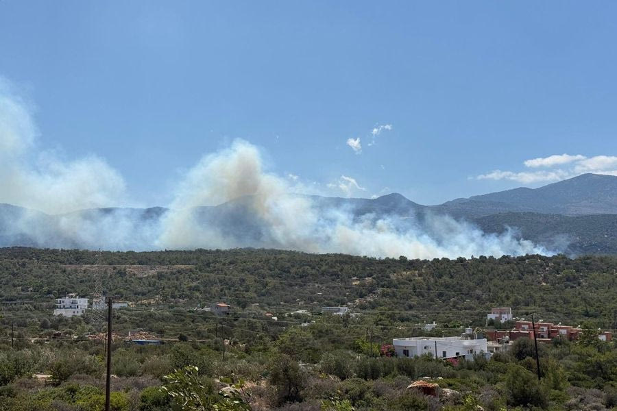 Οριοθετήθηκε η φωτιά στο Βαθύ – Κάηκαν περίπου 12 στρέμματα δάσους
