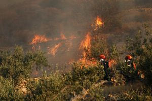 Φωτιά στην Καλλιτεχνούπολη- Μάχη για να μη μπει η φωτιά σε κατοικημένη περιοχή και στο δάσος