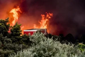Φωτιά στην Αχαΐα: Απανωτά μηνύματα από το 112 για εκκένωση περιοχών – Αναφορές για τραυματίες