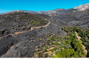 Χίος: Στάχτη το 22% της επιφάνειας από τις φωτιές 9 χρόνων