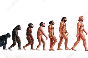 Ανακαλύφθηκε στην Αιθιοπία άγνωστος συγγενής των ανθρώπων