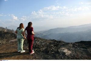 Αποκαρδιωτικός ο απολογισμός των καμένων εκτάσεων