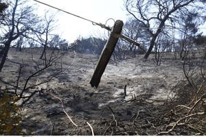 Φωτιά στην Ανατολική Αττική: Στάχτη 40.000 στρέμματα – Καταγγελίες για εμπρησμό