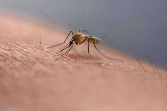 Κίνα: Χιλιάδες κρούσματα καθημερινά από τον ιό Chikungunya