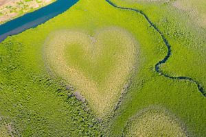 «The Heart of Voh»: Το μαγκρόβιο σε σχήμα καρδιάς που κινδυνεύει από την κλιματική αλλαγή