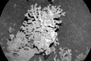 Η NASA εντόπισε «κοράλλι» δισεκατομμυρίων ετών στον Άρη