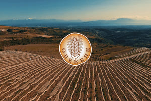 ΟΠΕΚΕΠΕ: Μέχρι 22 Σεπτεμβρίου παρατείνεται η προθεσμία για τις αιτήσεις μεταβίβασης δικαιωμάτων