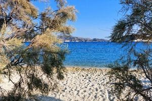 Καβάλα: 9χρονος τραυματίστηκε σε θαλάσσιο πάρκο – Συνελήφθη η ιδιοκτήτρια της επιχείρησης