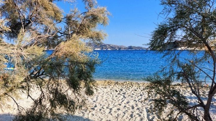 Καβάλα: 9χρονος τραυματίστηκε σε θαλάσσιο πάρκο – Συνελήφθη η ιδιοκτήτρια της επιχείρησης