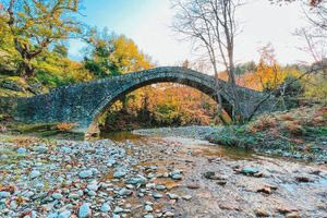 Ιωάννινα: Ελπίδες για τη σωτηρία των πλατάνων δίνει καινοτόμος μέθοδος