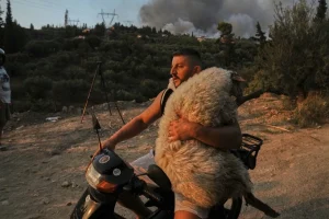 Ολσιέν Μουτσομπέγκα: «Είμαι τρελάκιας με τα ζώα» – Ο 33χρονος Αλβανός που έγινε viral με το πρόβατο πάνω στη μηχανή