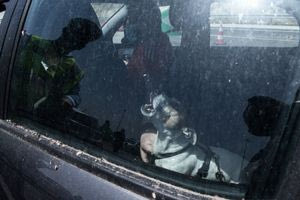 Θεσσαλονίκη: Άφησε το σκύλο της στο αμάξι με κλειστά παράθυρα – Συνελήφθη από την ΕΛ.ΑΣ, επιβλήθηκε πρόστιμο