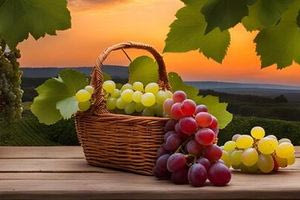 Γιατί ευλογούνται τα σταφύλια στις 6 Αυγούστου