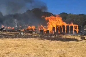 Θεσσαλονίκη: Μία σύλληψη για τη φωτιά στον Χορτιάτη και πρόστιμο 4.331 ευρώ