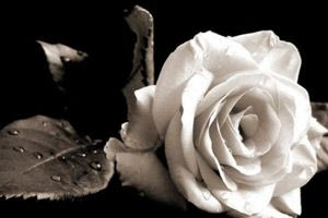 Θλίψη για τον θάνατο της Φρόσως Γκλαβά