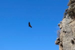 Μας πονάει να το παραδεχόμαστε αλλά η Κρήτη, είναι κι αυτή…