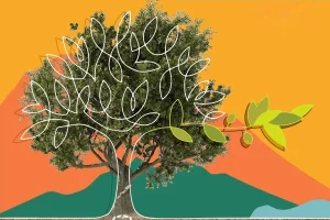 Η πορεία του προγράμματος δακοκτονίας στην Περιφέρεια Κρήτης