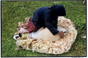 Γυναίκα κουρεύει πρόβατο το 1964, στην Κρήτη