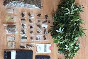 Ρέθυμνο: Σύλληψη αλλοδαπού για καλλιέργεια δενδρυλλίων κάνναβης και κατοχή ναρκωτικών ουσιών