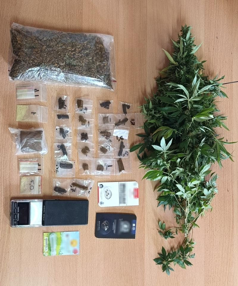 Ρέθυμνο: Σύλληψη αλλοδαπού για καλλιέργεια δενδρυλλίων κάνναβης και κατοχή ναρκωτικών ουσιών