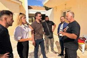 Περισσότερες από 200 στειρώσεις ζώων συντροφιάς στην τριήμερη δράση δωρεάν στειρώσεων