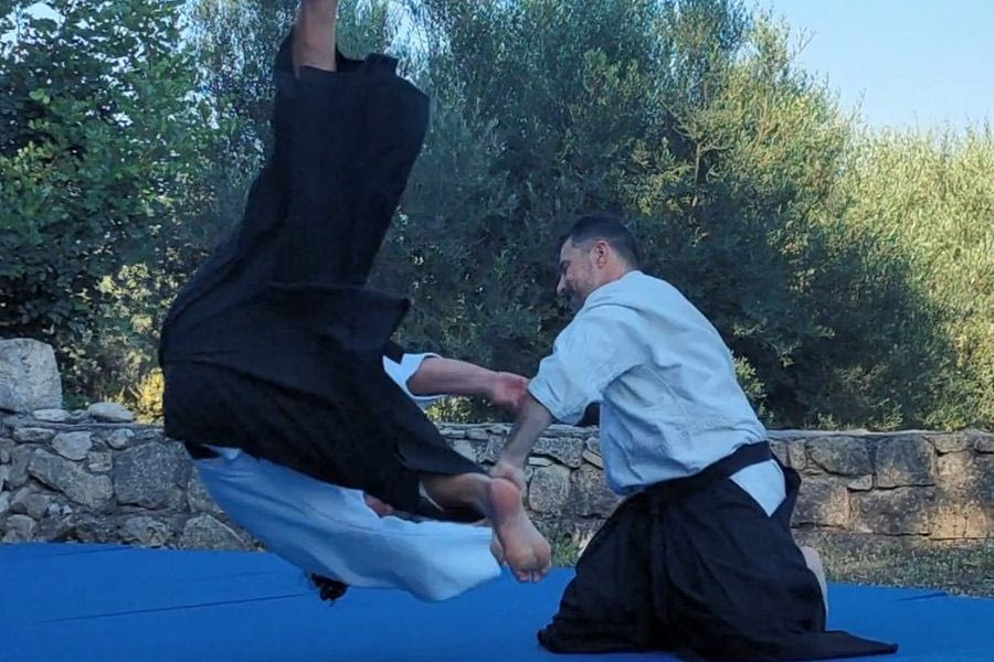 Μεγάλο Σεμινάριο – Γιορτή στα Χανιά για τα 20 χρόνια Aikido στην Κρήτη