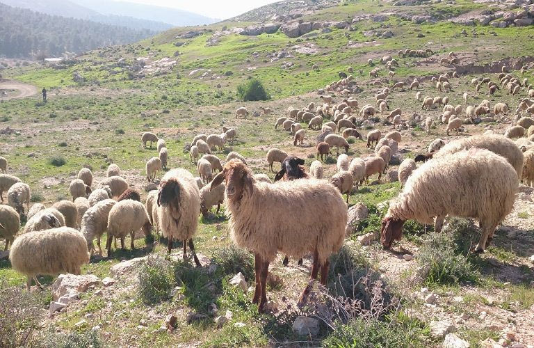 Δέσμη προτάσεων από την ΕΝ.ΔΗ.Κ. για τον πρωτογενή τομέα