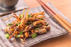 Εντομοφαγία και θεωρίες συνωμοσίας