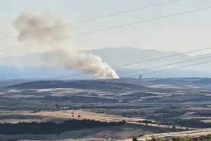 Νέα Τρίγλια Χαλκιδικής: Υπό μερικό έλεγχο τέθηκε η πυρκαγιά