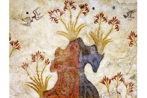 Κροκοσυλλέκτης