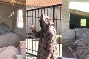 Βοιωτία: Οι μαρτυρίες για τη μητέρα της 62χρονης, η διαθήκη του πατέρα της και η επίσκεψη- «μυστήριο» στο ΚΕΠ