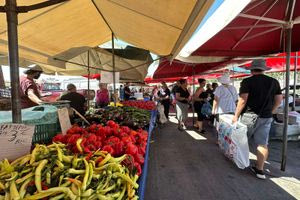 Συμφέρει η βόλτα στη λαϊκή στο Ηράκλειο: Χαμηλές τιμές, φρέσκα προϊόντα και έξυπνες επιλογές (Φωτογραφίες)