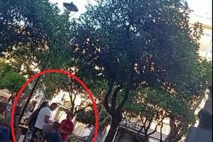 «Δεν είμαι εστιατόριο αδερφέ, ναρκωτικά πουλάμε» – Τα ντοκουμέντα και οι διάλογοι που αποκάλυψαν τη μαφία της Κρήτης